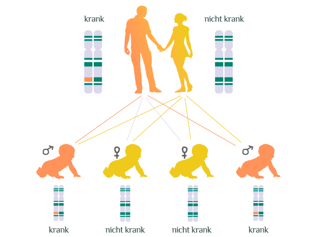 Genetik für Nicht Genetiker wirbelwirrwarr